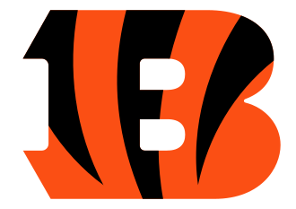 Miami Dolphins vs. Cincinnati Bengals