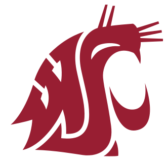 Boise State Broncos vs. Washington State Cougars